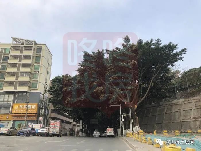 石岩上下屋及田心旧改最新进展,石岩新时代工业区旧改