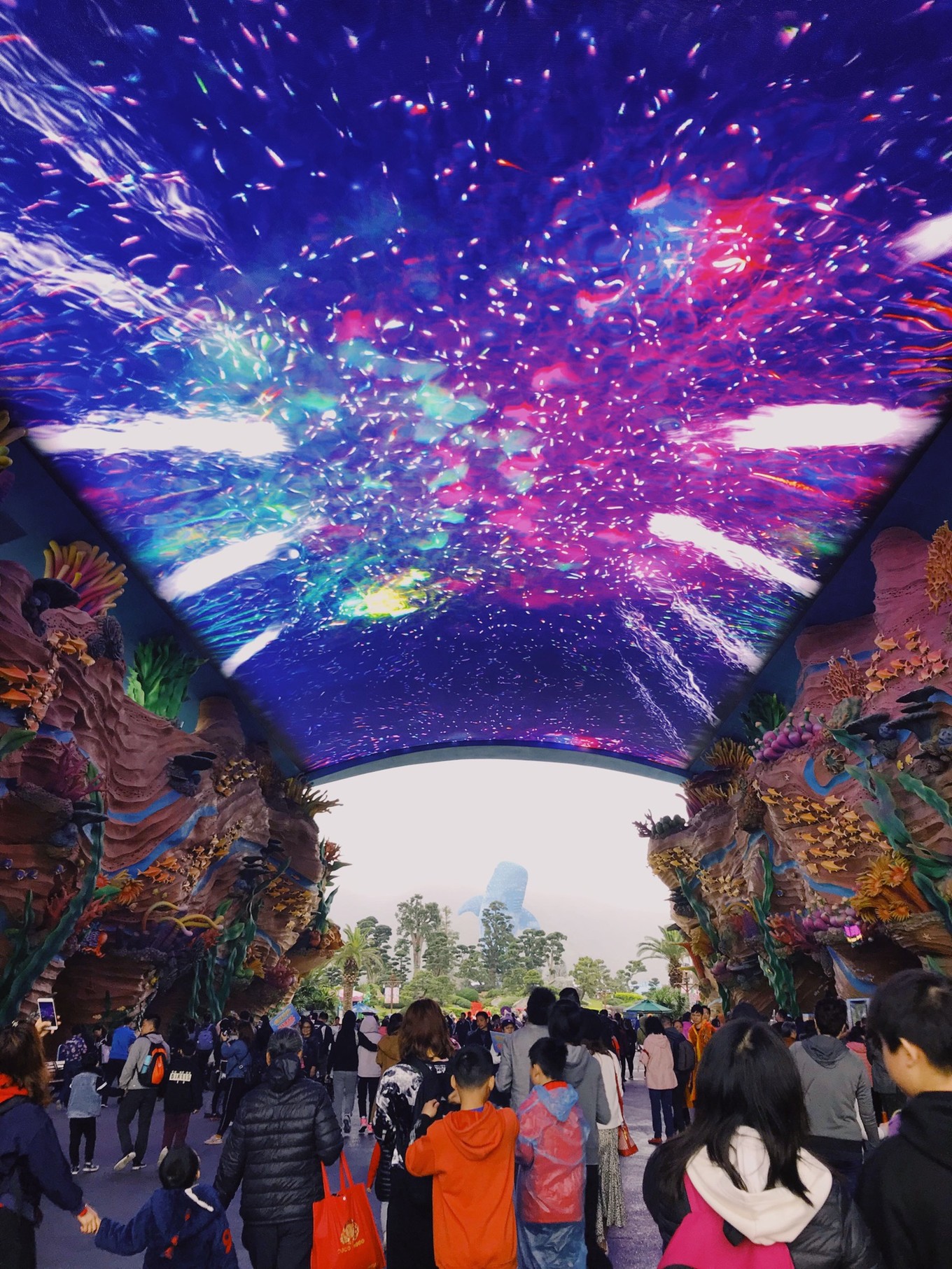 珠海长隆海洋王国攻略三天两夜,珠海长隆海洋王国必玩十大项目