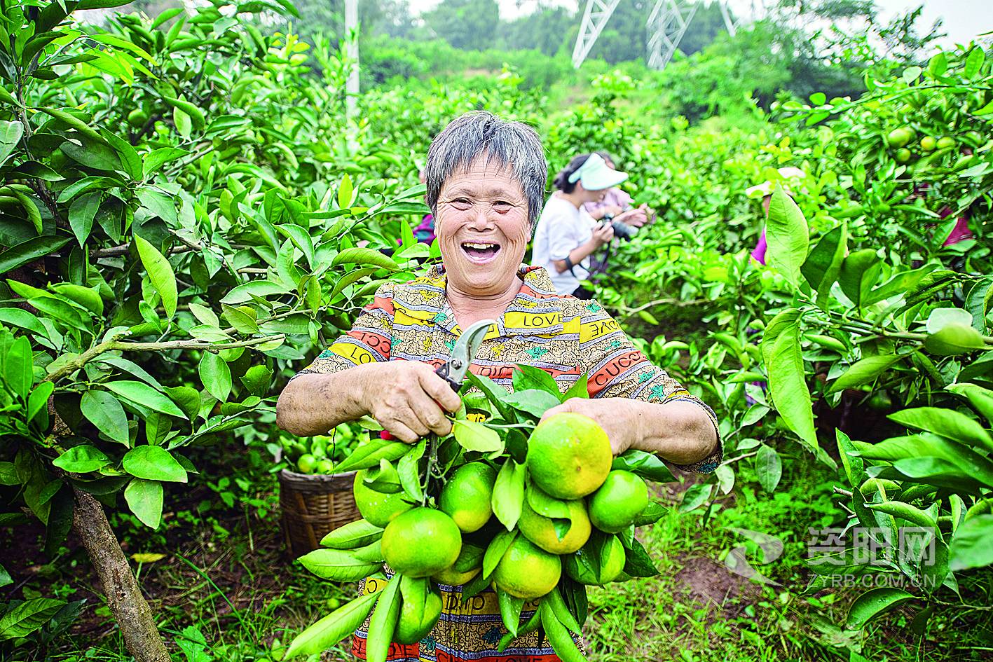 民之所呼我有所应这句话谁说的,民之所呼我有所应的出处