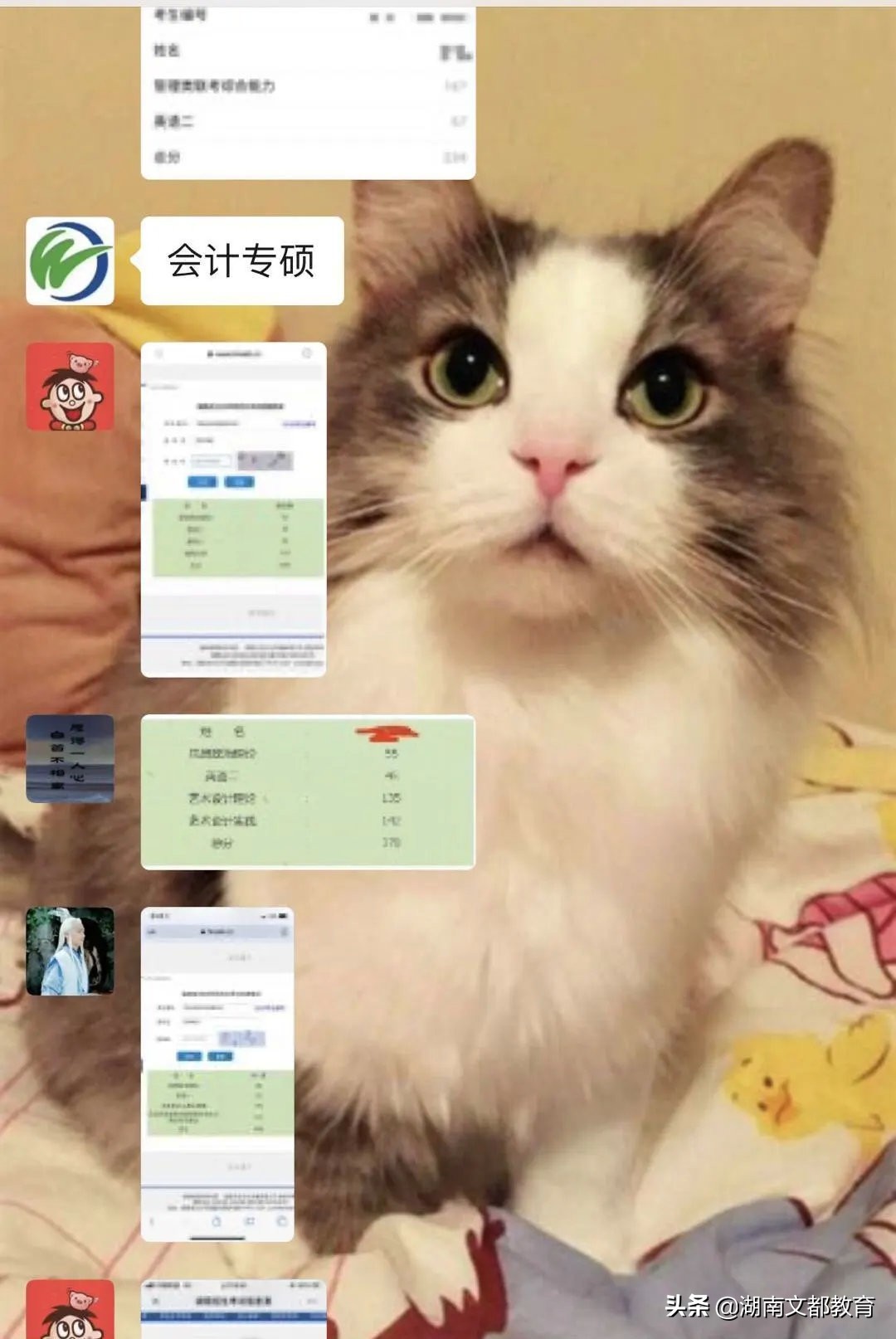 湖南文都老师,文都老师