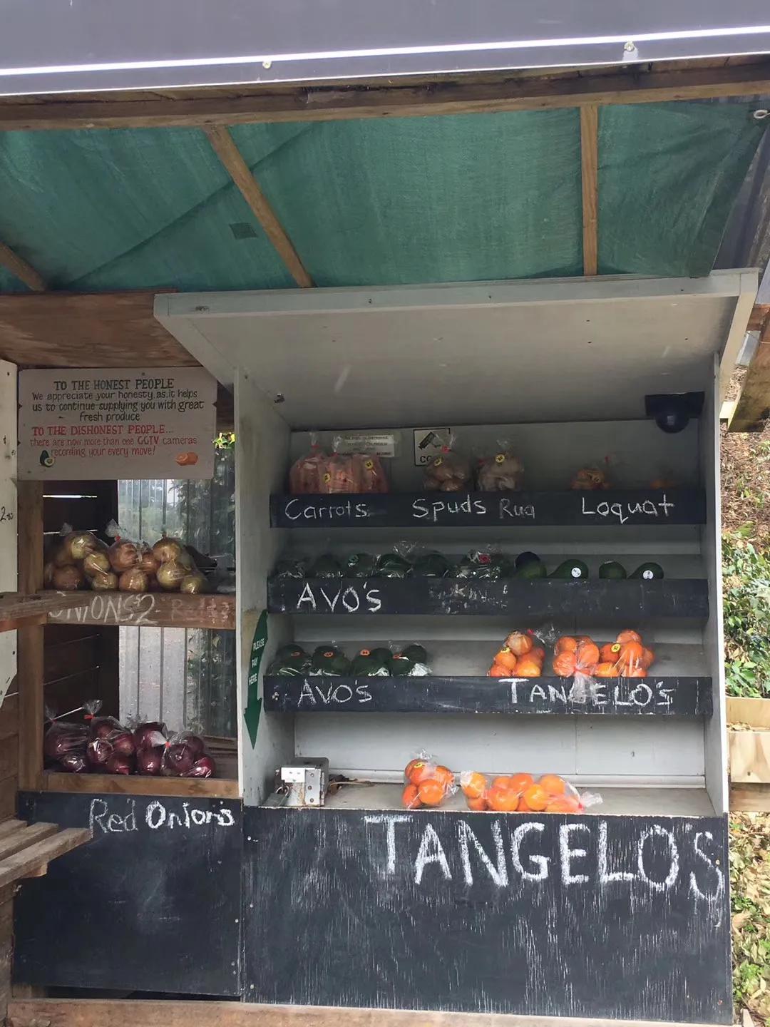 记忆中的旅行之新西兰（北岛）