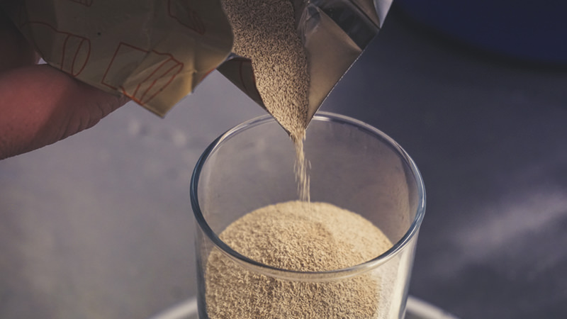 猫咪有跳蚤家里到处都有怎么处理,猫咪有跳蚤怎么解决的