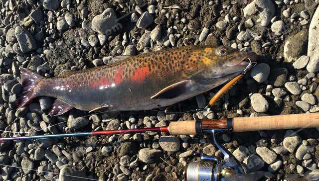 俄罗斯适合什么方法钓鱼,俄罗斯人是如何捕鱼的