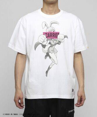 日本草帽商店有网店吗,海贼王日本商店