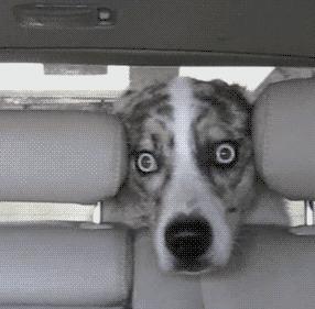 武学宗师陈鹤皋,疯癫的大师陈鹤皋