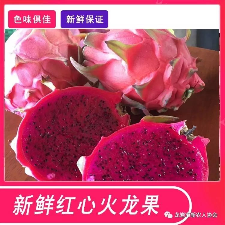 带你走进农村新民居,今日头条龙岩新农人