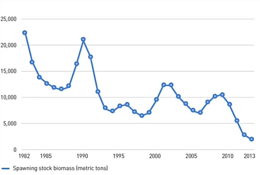 绕开中国工厂，运送1000多个集装箱，俄罗斯凭什么吃定明太鱼？