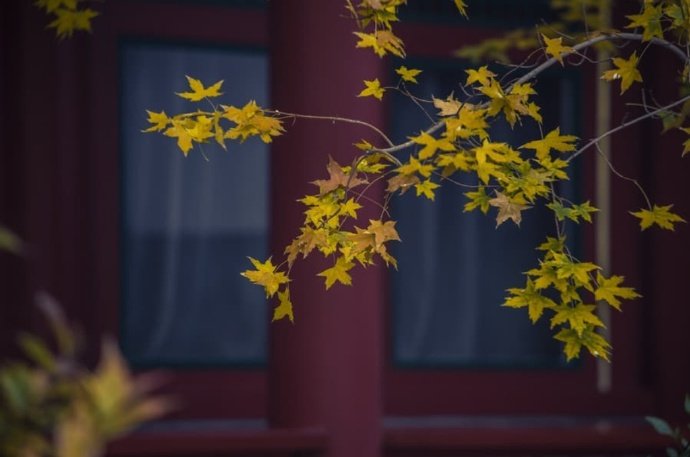 万壑千岩图片,万壑千岩锁翠烟赏析