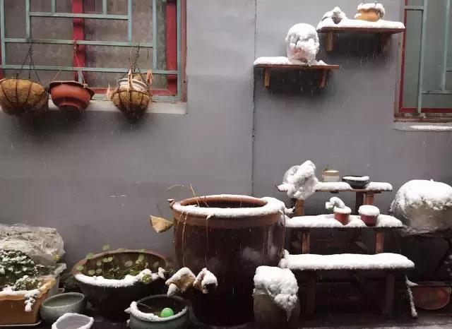 平房小户型房屋改造,40平出租房改造图片