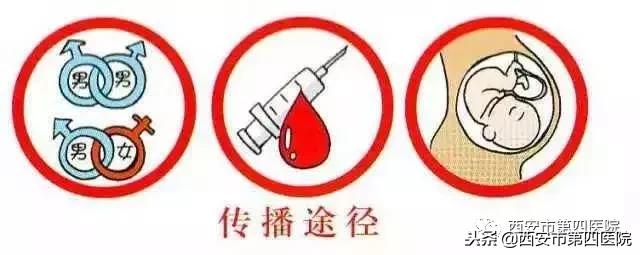 艾滋病常识让你不再恐艾,简述艾滋病的十条基本知识