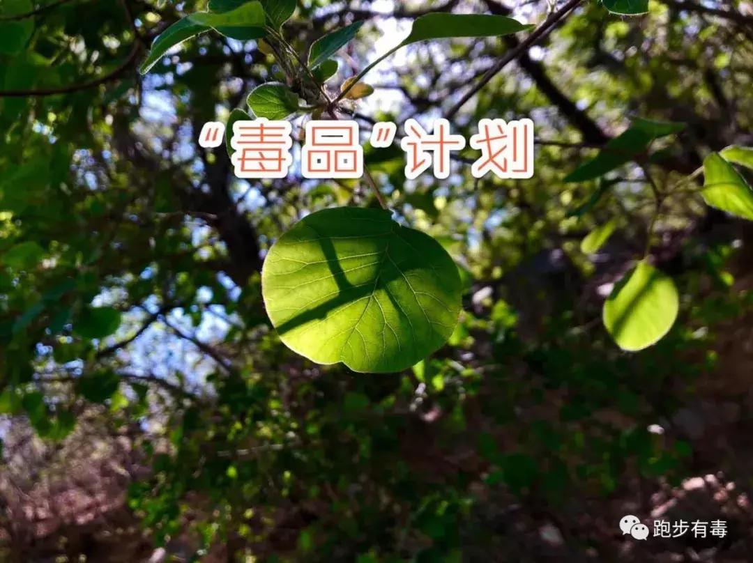 说跑步省钱的，买对装备真可以有！——一波小众优质装备推荐