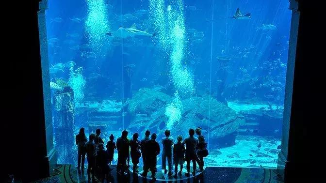 住进迪拜最豪华酒店是什么感觉,住一晚迪拜七星级酒店的感觉