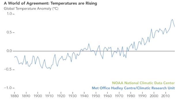印度夏天53度高温怎么办,印度高温天气真实记录