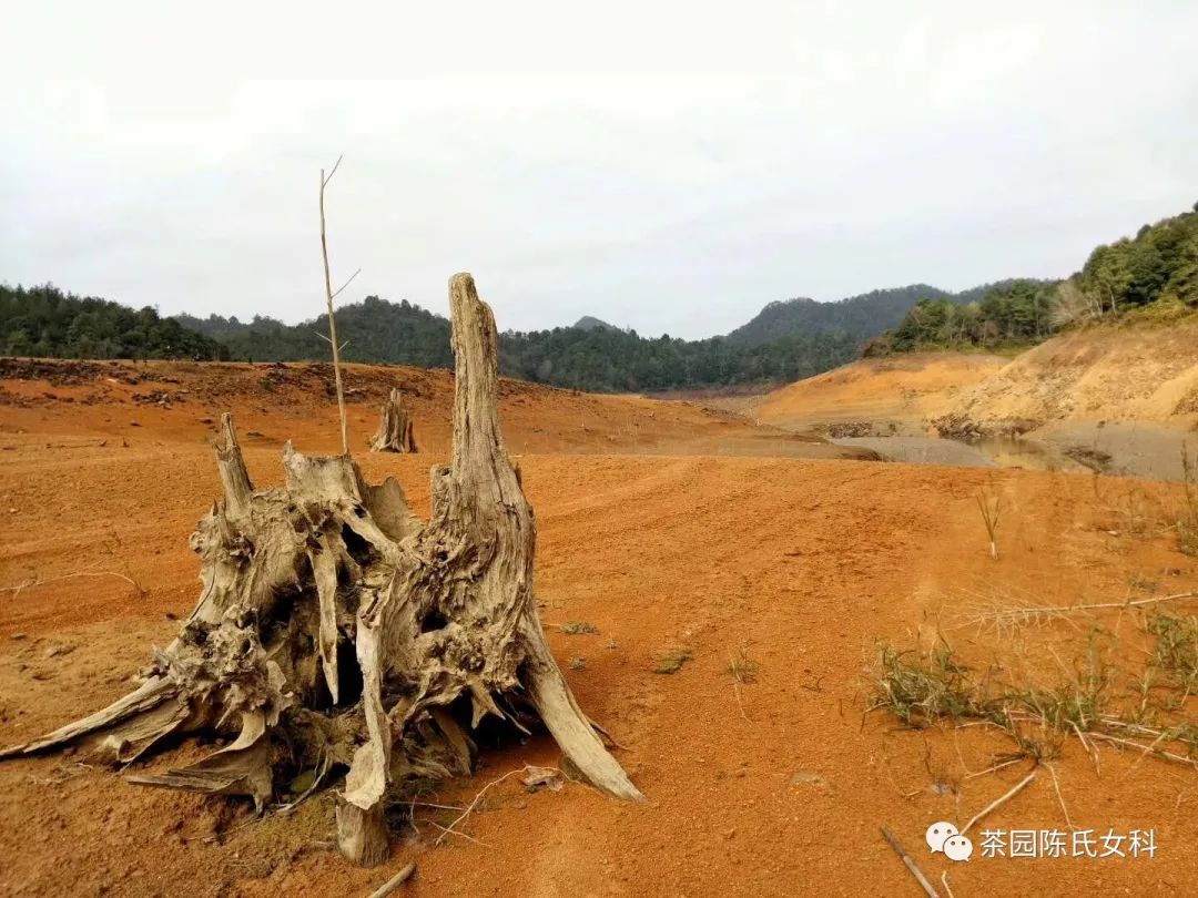 经期养卵巢,月经量少在家怎样保养卵巢