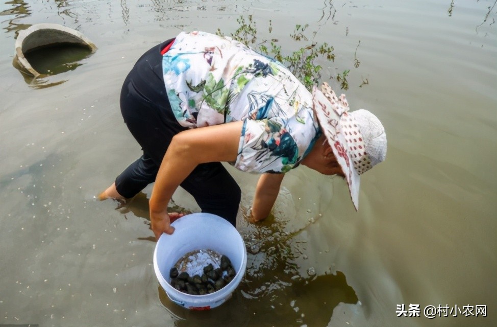 大学生回乡创业养殖土地政策,回乡养殖什么最赚钱