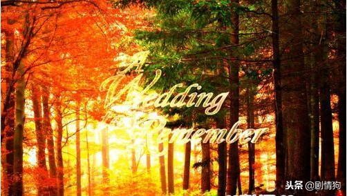 edius教程新手剪辑,edius剪辑快速入门