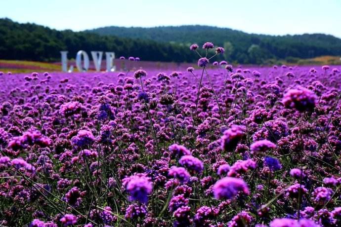 沈阳旅游攻略情侣必玩的景点,沈阳周边适合情侣去的旅游景点