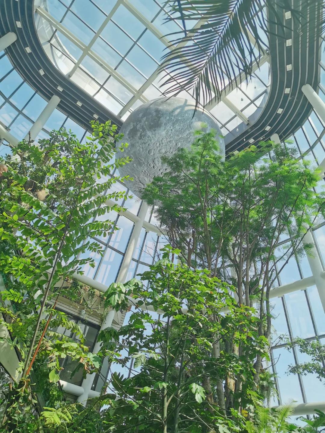 印象城mega游玩,印象城mega有什么好玩的