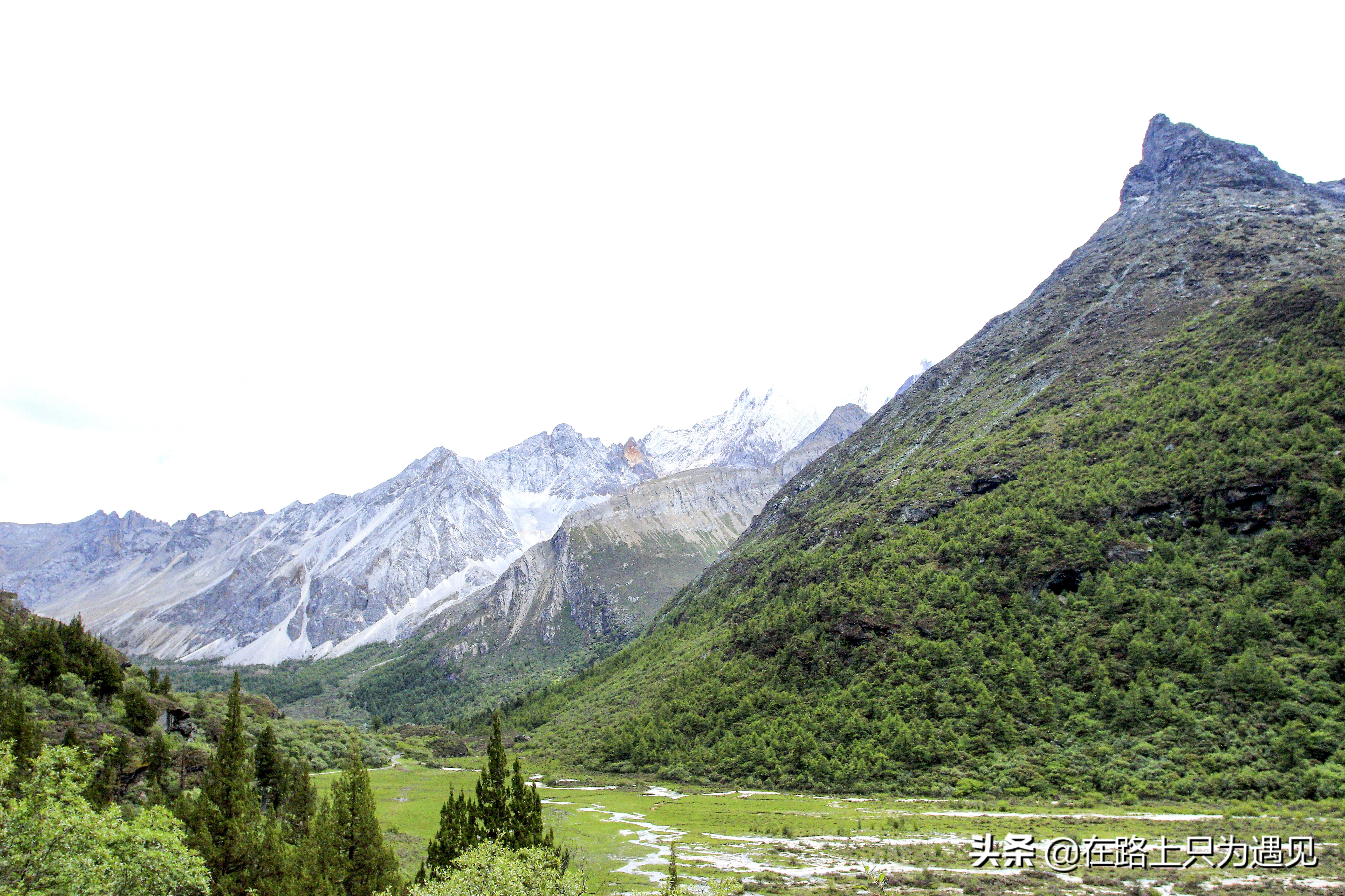 从你的全世界路过稻城亚丁主人公,从你的全世界路过稻城亚丁片段