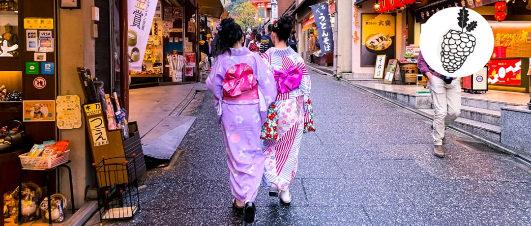 日本旅行注意事项及建议,旅行指南系列日本