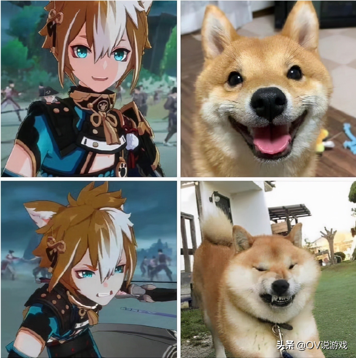 原神3.3五郎会up吗,原神新5星岩系角色