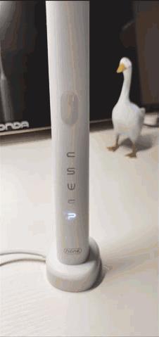 南卡声波电动牙刷评测,十款电动牙刷测评推荐