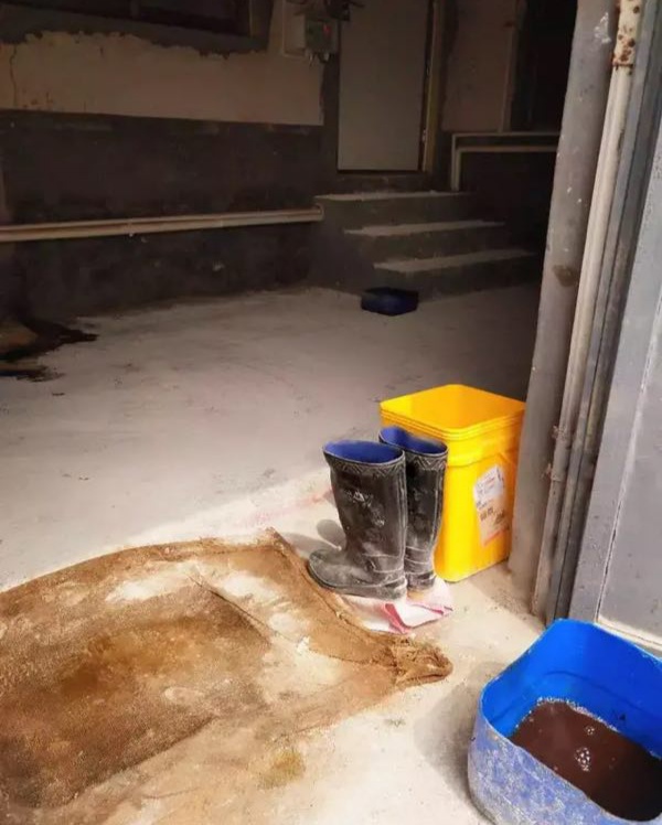 《抗非瘟战略如何布置，分期治疗是关键》——深度剖析