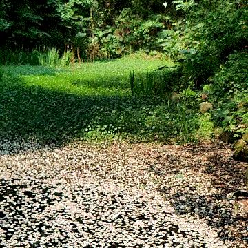 一加8使用三周感受,一加8重度使用半年后测评