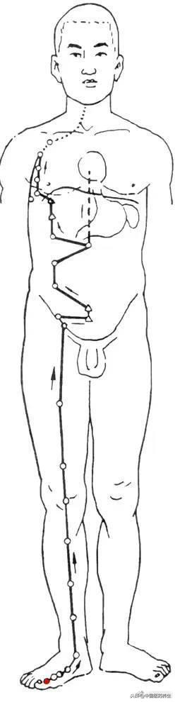 12经络对应12时辰走向图讲解,人体12经络走向位置图详解