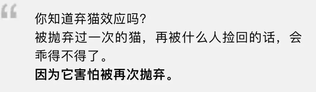 弃猫效应会不会弄巧成拙,弃猫效应有必要吗