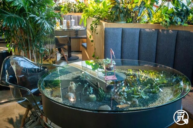 深圳花店有什么花,深圳龙华花店订花送花