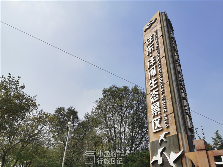 西安适合拍照的湿地公园,西安湿地公园赏花