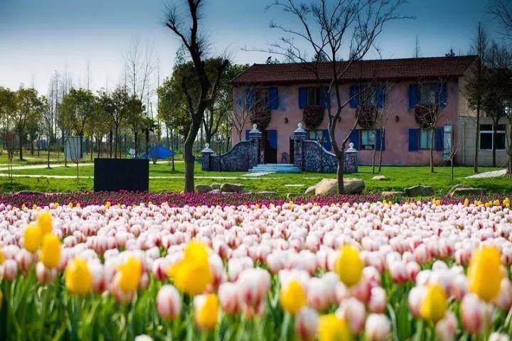 查理和巧克力工厂亲子体验,查理和巧克力工厂有实景吗