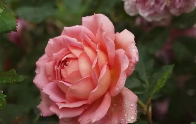 每天学习一点点女性小常识,每天学习一点点科普一下