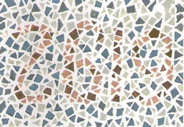 色盲自测50张图片带答案,5张色觉测试图不能正确识别