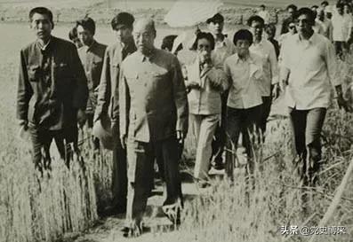 老一辈革命家理念,老一辈革命家的部分论述