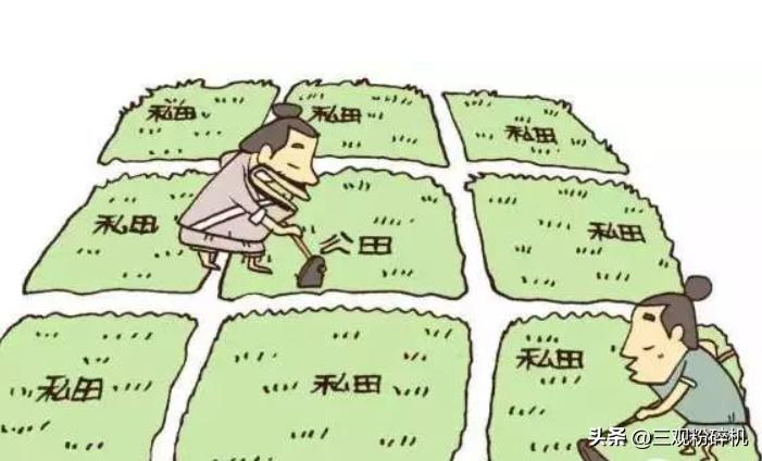 为什么说王莽是个穿越之人,王莽是忠臣还是奸臣