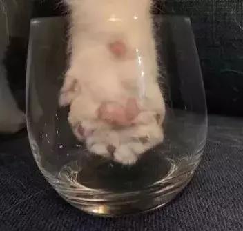 文创到底卖的什么,文创最暴利的产品