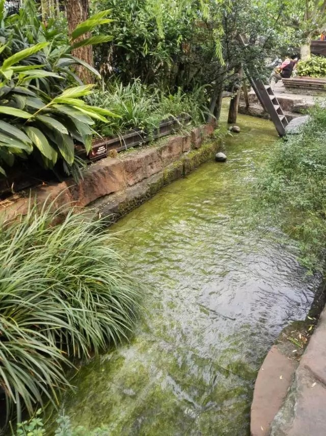 黄龙溪古镇到黄龙溪欢乐田园,黄龙溪古镇川西民俗文化街