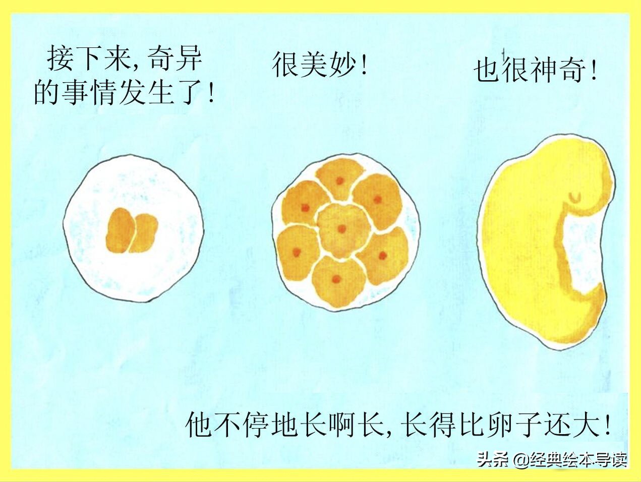 小威向前冲告诉我们的道理,小威向前冲公开课完整视频