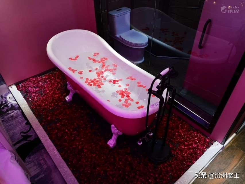 珠海铂金花园酒店,珠海松林花园主题民宿