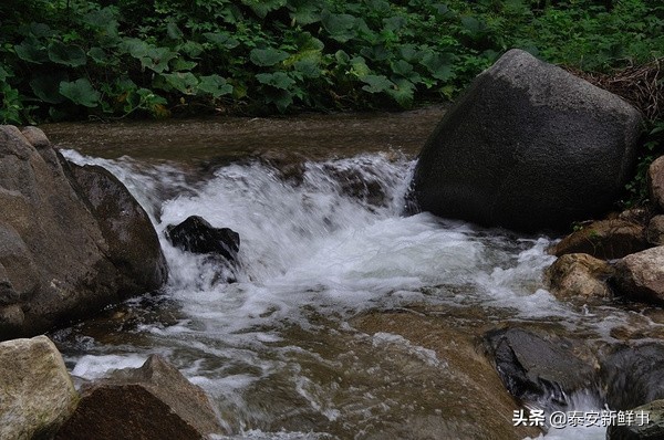 泰山斗姆宫尼姑,泰山斗母宫和斗姥宫