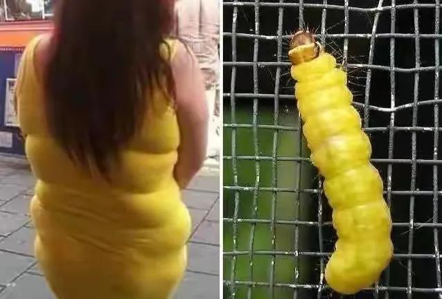 你们也有过撞衫的尴尬吗,这些尴尬至极的撞衫经历