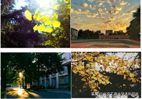 北京大学高颜值学霸,中国十大景色最美的大学