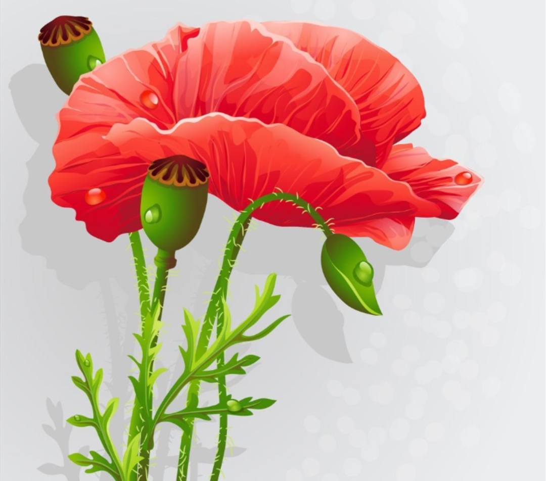 “不要自己炒菜，请雇一个厨师”‖财富解密