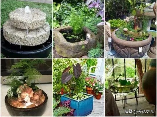 庭院水池最简单最省钱制作,庭院水池小摆设