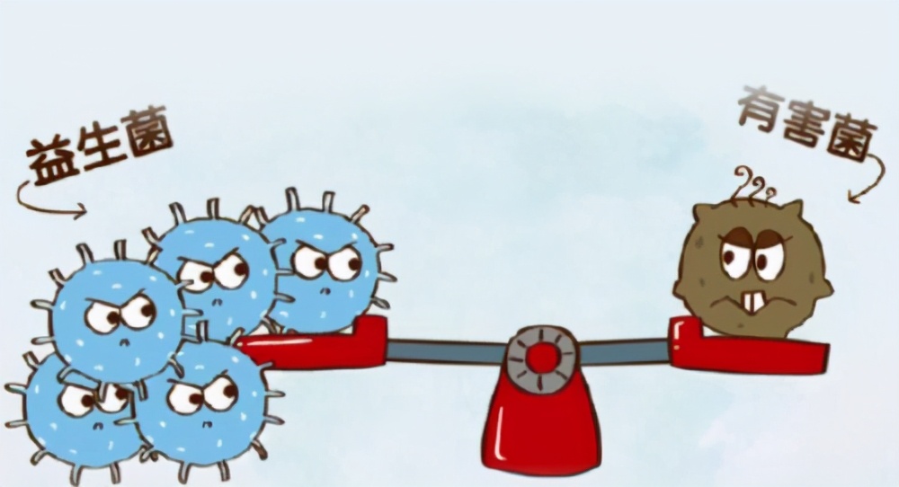 哪个牌子的奶粉好吸收,什么牌子早产奶粉好吸收