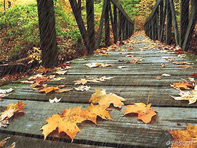 散文漫步乡间小路,散文阅读吟风