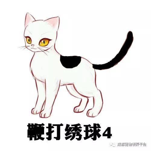 谁说土猫无名猫？快来围观古代猫谱，你家有没有镇宅神兽！