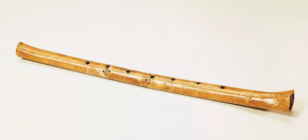 裴李岗文化遗址是世界文化遗产吗,裴李岗文化遗址的具体地方在哪里